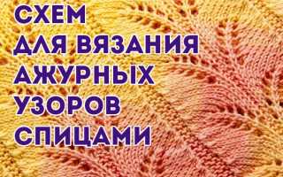 Подборка схем и описаний для вязания спицами ажурных узоров