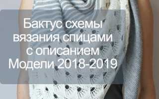 Бактус схемы вязания спицами с описанием, модели 2021