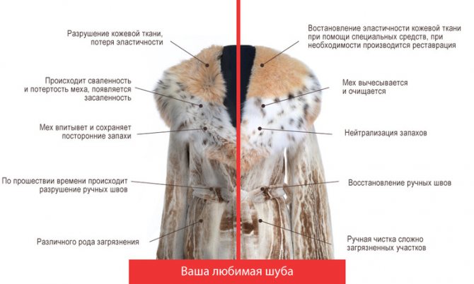 Покраска шубы из норки