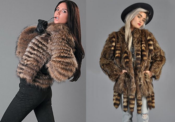 Шуба из енота фото
